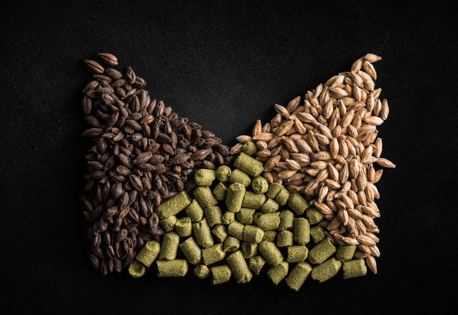 close-up of barley corns at Cretan Brewery facilities